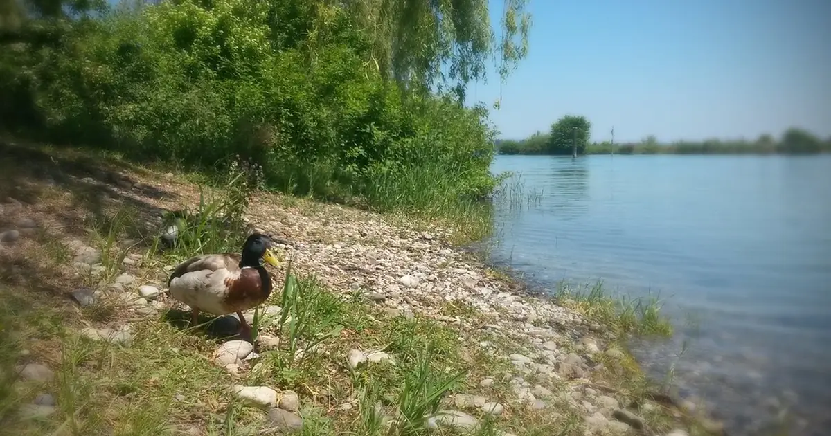 Sexdate Kreuzlingen